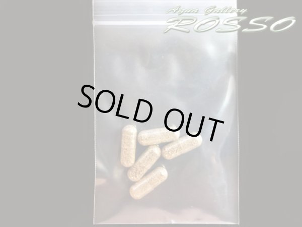 画像2: Fairy Egg 〜ホウネンエビのカプセル 5個入り　※ヤマトゆうパケット対応OK (2)