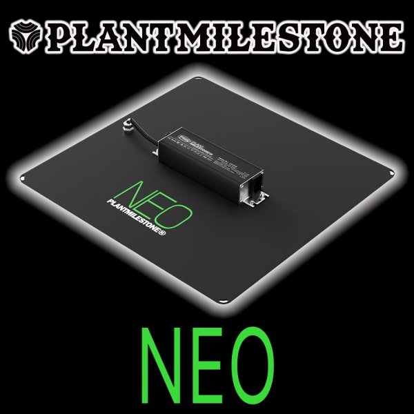 画像1: 【PLANTMILESTONE -NEO-】　昼白色系 ※ドワーフ種、ベイチー系、アガベ、塊根※ (1)