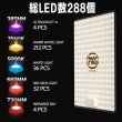 画像2: 【PLANTMILESTONE -NEO-】　昼白色系 ※ドワーフ種、ベイチー系、アガベ、塊根※ (2)